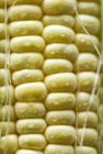 Corn on cob with droplets — Stock Photo