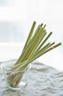 Fresh lemongrass in preserving jar — Stock Photo