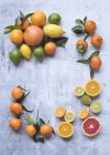 Assorted citrus fruits with leaves — Stock Photo