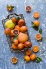 Naranjas de sangre con pomelos - foto de stock