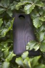 Vista close-up de uma tábua de corte de madeira em uma sebe — Fotografia de Stock