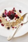 Porridge oats with Greek yoghurt and redcurrants — Stock Photo