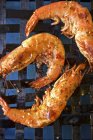 Grilled king prawns with piri piri — Stock Photo