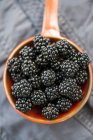 Blackberries in orange saucepan — Stock Photo