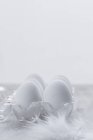 Fresh White eggs — Stock Photo