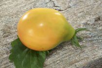 Fresh Japanese yellow tomato — Stock Photo