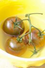 Tomates de videira em tigela — Fotografia de Stock