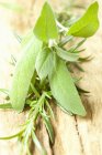 Salvia fresca y romero - foto de stock