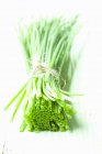 Bunch of fresh chives — Stock Photo