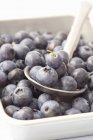 Blueberries in bowl with spoon — Stock Photo