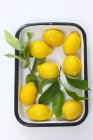Citrons dans un plat en émail — Photo de stock