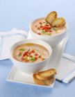 Creamy tomato soup with toasted bread — Stock Photo