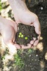 Close-up vista cultivada de mãos segurando solo com sementes — Fotografia de Stock