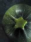 Grüne runde Zucchini — Stockfoto
