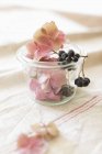 Closeup view of chokeberries and hydrangea flowers in preserving jar — Stock Photo