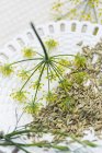Семена фенхеля и цветы на керамической пластине — стоковое фото