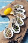 Fresh oysters with lemon slices — Stock Photo