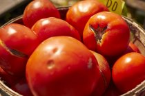 Cesta de tomates vermelhos — Fotografia de Stock