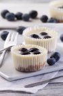 Cheesecake muffins with blueberries — Stock Photo