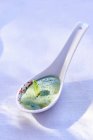 Primo piano vista di crema di menta piperita su un cucchiaio degustazione — Foto stock