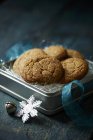 Lata de biscoitos de gengibre — Fotografia de Stock
