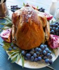 Roast turkey with grapes — Stock Photo