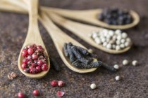 Dried pepper on wooden spoons — Stock Photo