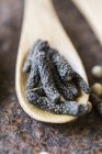 Dried long pepper on wooden spoon — Stock Photo