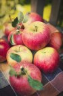 Fresh Idared apples — Stock Photo