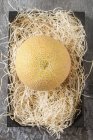 Gelbe Cantaloupe Melone — Stockfoto