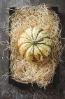 Raw green  pumpkin — Stock Photo
