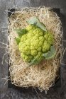 Green cauliflower on straw — Stock Photo