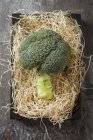Brócoli fresco sobre paja - foto de stock