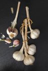 Dried garlic bulbs — Stock Photo