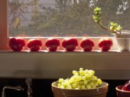 Tomatoes on sunny windowsill — Stock Photo
