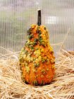 Decorative pumpkin on straw — Stock Photo