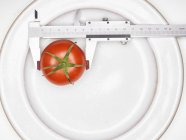 Tomato with a precision ruler — Stock Photo