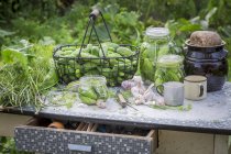Freshly pickled gherkins in preserving jars on a garden table — Stock Photo