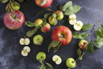 Manzanas surtidas con hojas - foto de stock