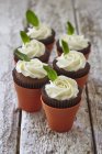 Chocolate cupcakes with mint — Stock Photo