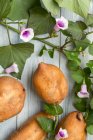 Süßkartoffeln mit Blättern und Blüten — Stockfoto