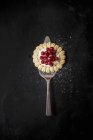 Тарталетка з redcurrants на торт лопатою — стокове фото
