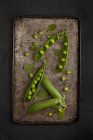 Fresh Pea Pods and Mint leaves — Stock Photo