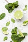 Lime affettate con menta e ghiaccio — Foto stock