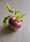Frisch gepflückte violette Rübe — Stockfoto