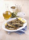 Grilled mackerels with rosemary — Stock Photo