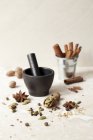 Closeup view of Masala chai spices with a pestle and mortar — Stock Photo