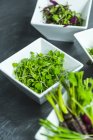 Piatti con micro-erbe e micro-verdure — Foto stock
