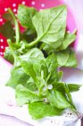 Foglie di spinaci freschi in piatto — Foto stock