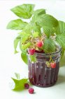 Glass of raspberry jam — Stock Photo